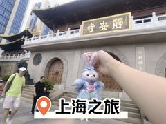 -WHEN PIGS FLY当猪飞