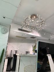 -潘多拉Hairsalon