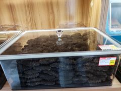 -宫品海参专卖店(静安大宁店)