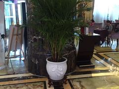 -碧桂园凤凰城酒店(南京店)