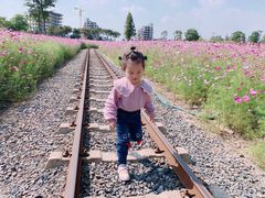 -歌斐颂巧克力小镇