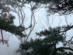 -庐山风景名胜区