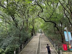 -上海佘山国家森林公园西佘山园