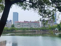 -宝岛公园