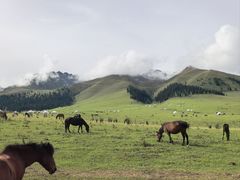 -新疆那拉提国家旅游度假区