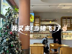 -WHEN PIGS FLY当猪飞
