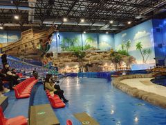 -华夏文旅海洋公园