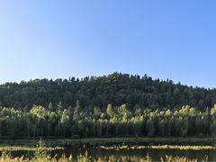 -汤旺河林海奇石景区