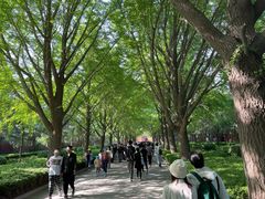 -北京国子监胡同