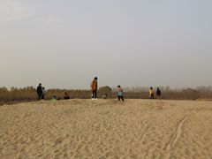 -东郊湿地公园