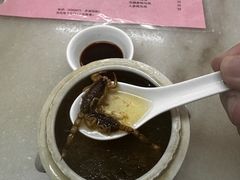 蝎子党参乌鸡汤-国英炖品店(甲子路店)