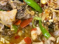 -四川仔姜鸭尖椒鸡(金星小区18号院店)