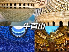 -南京博物院
