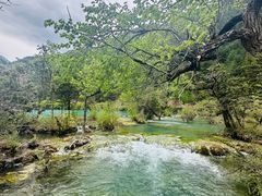 -九寨沟-树正沟