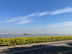 -海鸥岛