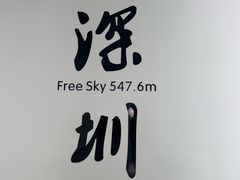 -平安金融中心云际观光层