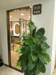 -E·JOY 印觉