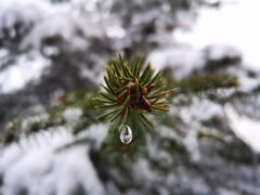 -硗碛藏寨·神木垒景区