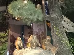 -武汉园博园(武汉自然博物馆)