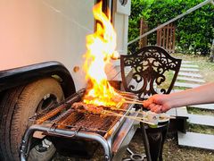 -崇明东平国家森林公园烧烤房车露营地