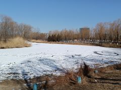 -大兴滨河森林公园