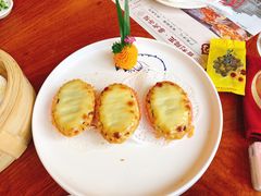 -百利鸽王(紫薇路店)