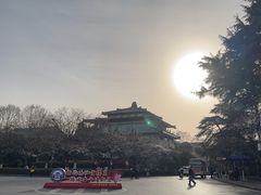 -武汉大学-樱园