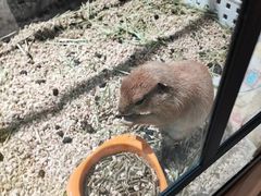 -瑞虹新天地月亮湾