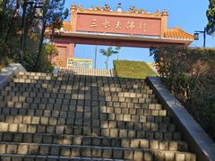 -三水森林公园
