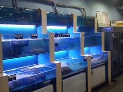 水产区-老虎滩大连海鲜烧烤(建邺云锦路总店)