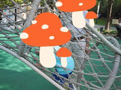 -苏州河梦清园环保主题公园