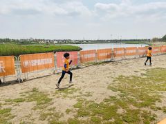 -春花秋色城市公园