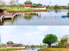 -王借岗森林公园