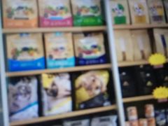 -瑞鹏宠物医院·夜间急症·心超·猫科(祖庙分店)