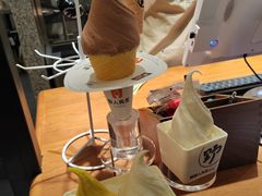 -野人先生Gelato(上海长宁龙之梦店)