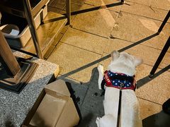 -Boxing Cat Brewery拳击猫精酿啤酒馆(思南公馆店)