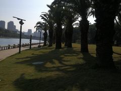-白鹭洲公园