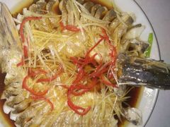 -煲来饱去冷水鱼