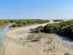 -北海金海湾红树林生态旅游区