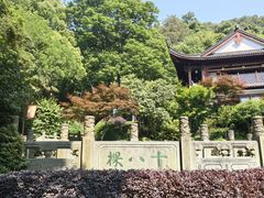 -十八棵（老龙井）御茶园(老龙井店)