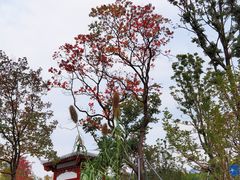 -成都市文化公园