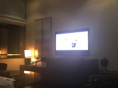 -上海柏悦酒店