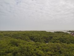 -北海金海湾红树林生态旅游区