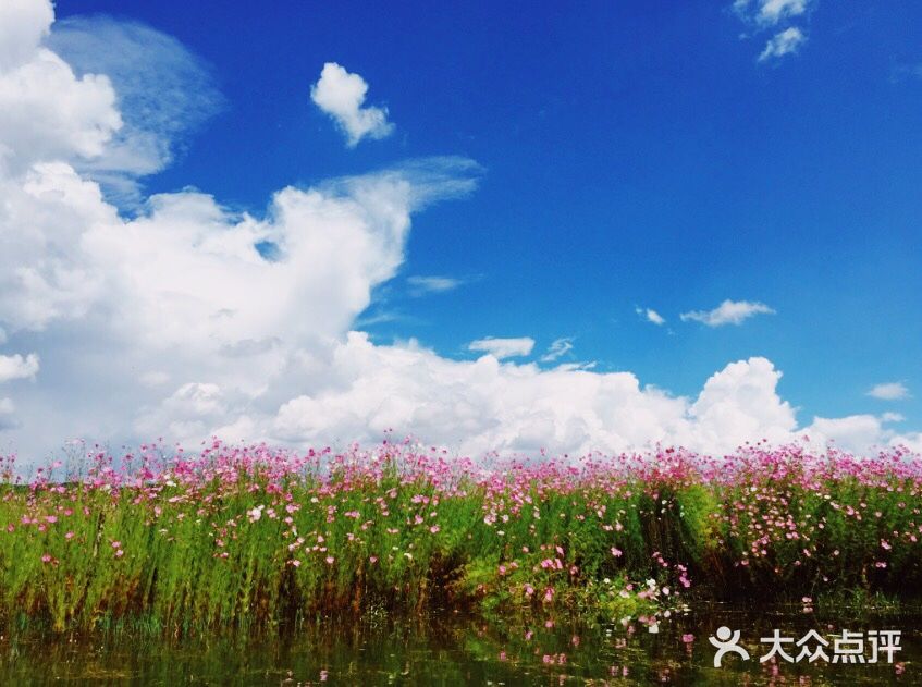 云南旅游攻略➿
