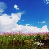 云南旅游攻略➿