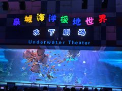 -泉城欧乐堡海洋极地世界