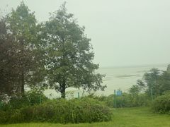 -西京湾花海