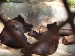 -昆明动物园