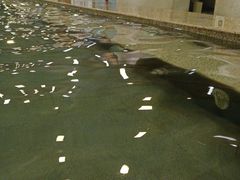 -恒坤北纬42度温泉洗浴(公园路店)