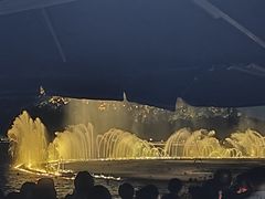 -西湖游船